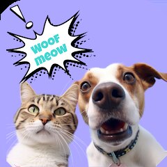 Pet Translator: Dog & Cat Talk