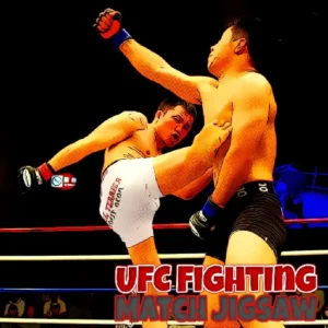 UFC Fighting Match