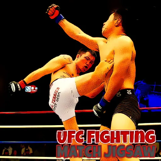 UFC Fighting Match